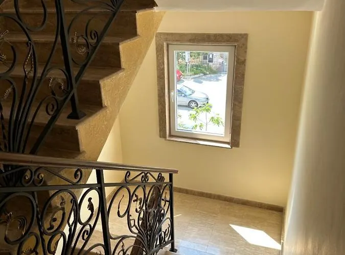 Bravo 1 Morenia Słoneczny Brzeg